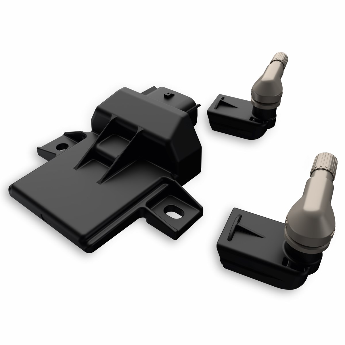 Steuergerät und ein Paar Drucksensoren (TPMS)